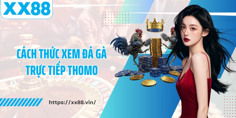 Cách thức xem đá gà trực tiếp thomo tại XX88
