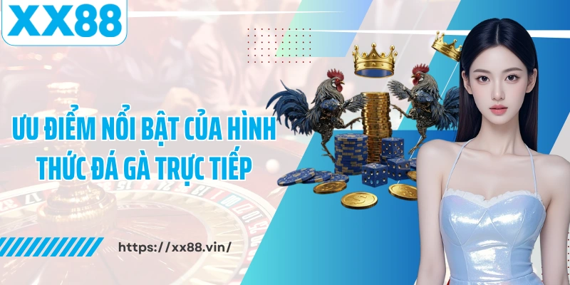 Ưu điểm nổi bật hình thức đá gà thomo XX88